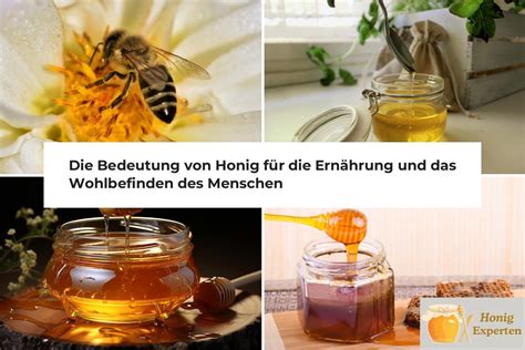 Honig für kulinarische und gesundheitliche Anwendungen