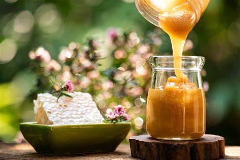 Honig gegen Entzündungen und für Gehirngesundheit