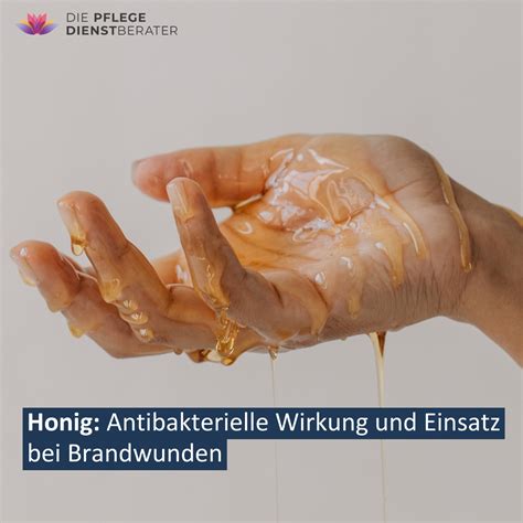 Honig mit Enzymen: antibakterielle Wirkung