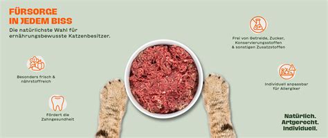 Honig und BARF für Hunde