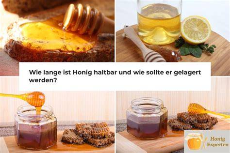Honig und Haut: Infografik zu Wirkstoffen, antibakteriellen Mechanismen und Einsatzgebieten