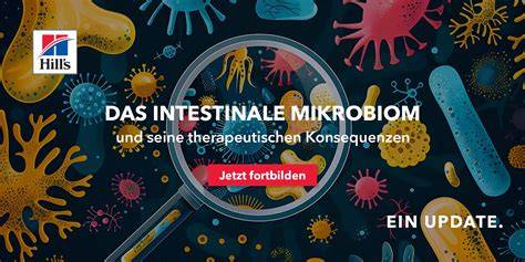 Honig und das intestinale Mikrobiom