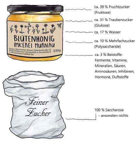 Honig und seine Inhaltsstoffe als Infografik