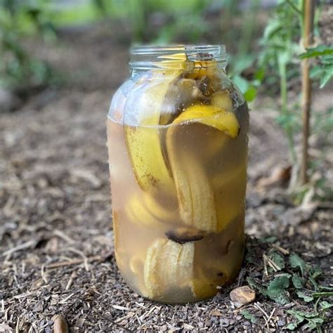 Honig-Banane-Maske Feuchtigkeit