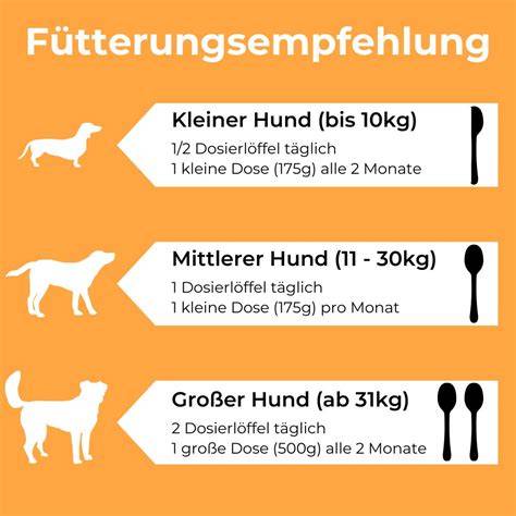 Honig-Fütterungsempfehlung für Hunde