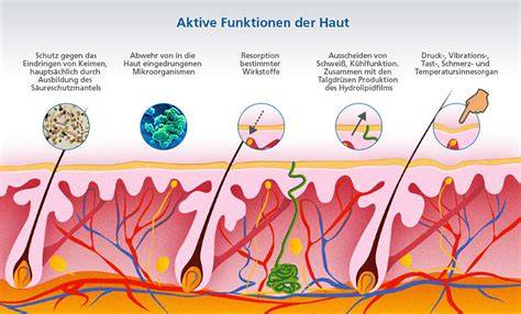 Honig-Moleküle und Wirkung auf Haut