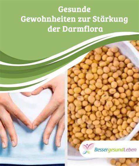 Honiganwendung bei Magen-Darm-Erkrankungen, Infografik zur Stärkung der Darmflora