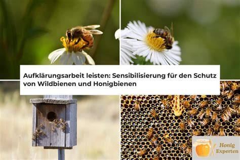 Honigbienen und Umweltschutz