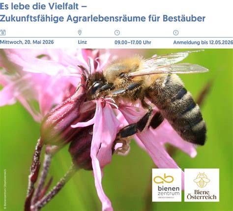 Honigfarben: Vielfalt je nach Nektar und Verarbeitung