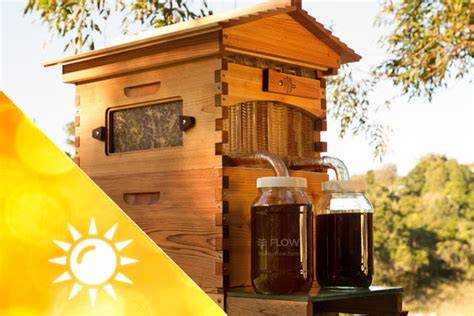 Honigfluss direkt ins Glas bei Flow Hive