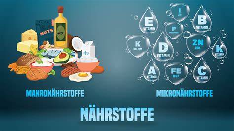 Honigmelone: Vitamine, Nährstoffe und Gesundheit