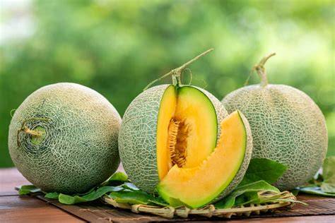Honigmelone grün halbiert mit sichtbarem Fruchtfleisch