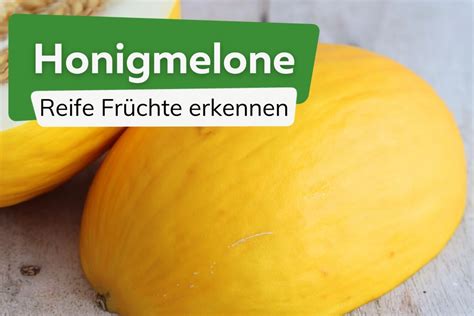 Honigmelone mit Beschriftung: Vitamine und Mineralien