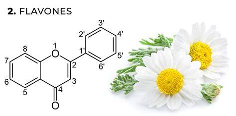 Honigpollen und Flavonoide - Unterschiede und Funktionen