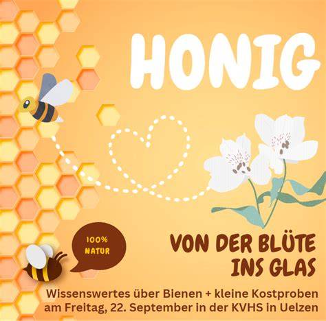 Honigproduktion - Von der Blüte ins Glas (Ablaufschema)