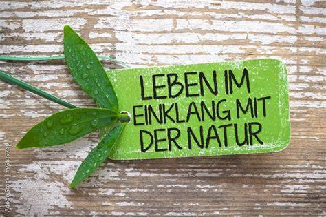 Honigproduktion im Einklang mit der Natur (Karte der Provence & nachhaltige Landwirtschaft)