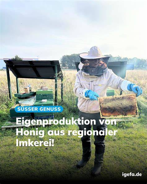 Honigproduktion und Nachhaltigkeit