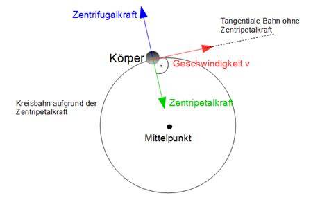 Honigschleuder: Funktionsweise der Zentrifugalkraft