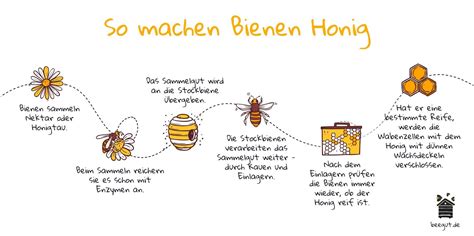 Honigtag im Garten - Kinder lernen Bienen und Honig kennen