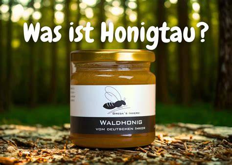 Honigtau an Tannen: Entstehungsprozess
