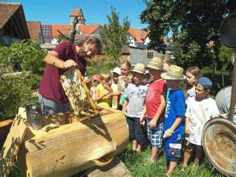 Honigwabe im Licht: Ein Imker erklärt Kindern die Bienenkunde