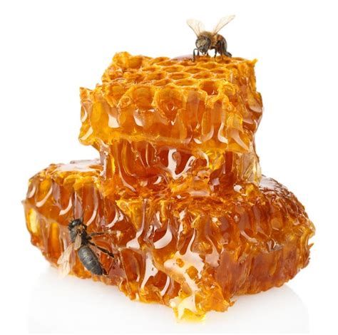 Honigwabe mit verdeckeltem Honig und Bienen
