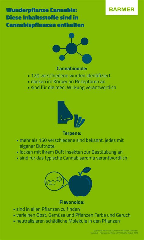 Honigwaben Himalaya: Infografik Inhaltsstoffe und Wirkung