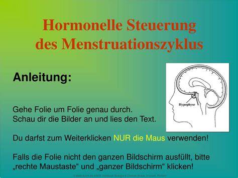 Hormonelle Steuerung des Zuckerstoffwechsels