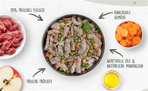 Hundefutter Napf mit Nassfutter und Zutaten (Fleisch, Gemüse)