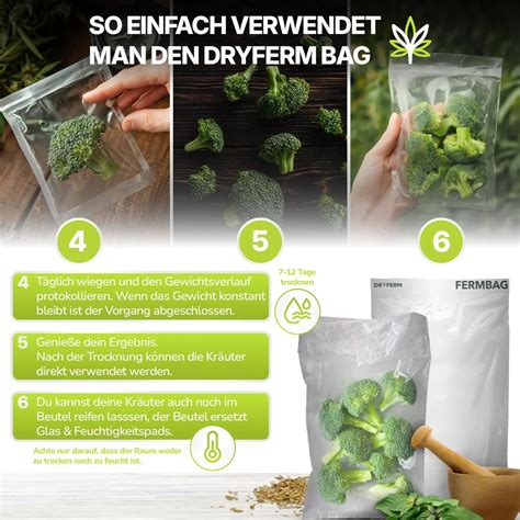 Hygiene- und Sicherheitskette: Fermentation, Trocknung, mögliche Kontaminationspunkte