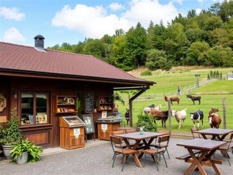 Idyllische Terrasse mit Blick auf die Tiere und ländlichen Geräten