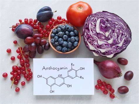 Illustration: Anthocyane in Blaubeeren und ihre Wirkung
