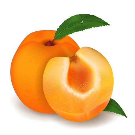 Illustration: Aprikose und Marmeladenglas als lustige Geburtstagsmotive