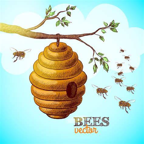 Illustration: Bär bricht Bienenstock auf, Honigwaben und Bienenlarven