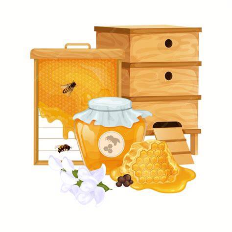 Illustration: Bienenkästen mit drei Blumen, darunter Titanenwurz, und fertigen Honiggläsern