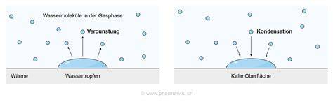 Illustration: Entstehung der Haut auf Pudding durch Verdunstung an der Oberfläche