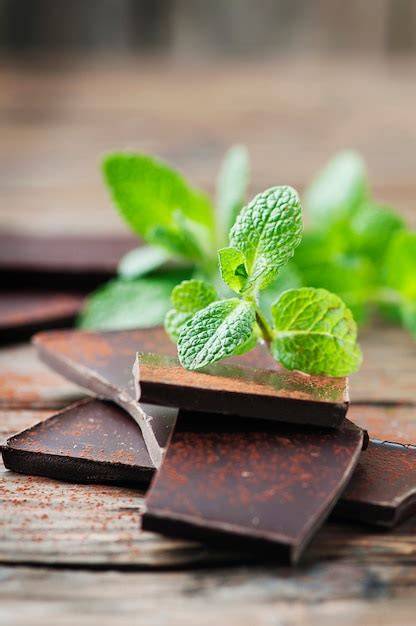 Illustration: Geschmackskombination Schokolade + Minze