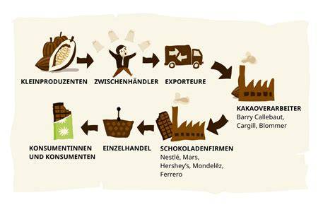 Illustration: Kakao-Wertschöpfungskette und Fairtrade-Prämien