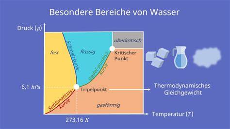 Illustration: Kristallisationskeime, Glukose-Ausfällung und Temperaturverlauf