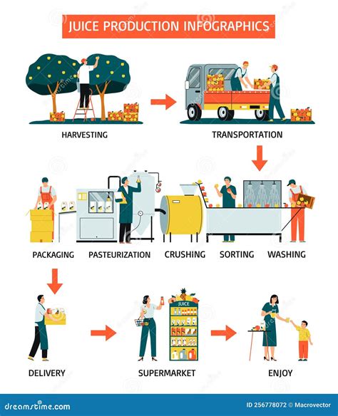 Illustration: Prozesskette von der Ernte bis zum Glas (Waschen → Kochen → Pürieren → Abfüllen)