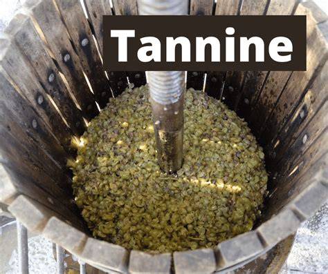 Illustration: Tannine verursachen pelzigen Geschmack