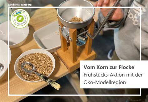 Illustration: Vom Korn zur Flocke - Verarbeitungsschritte von Hafer