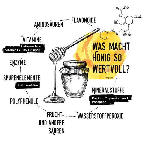 Illustration: Wirkungsweise von Honig im Ingwertee