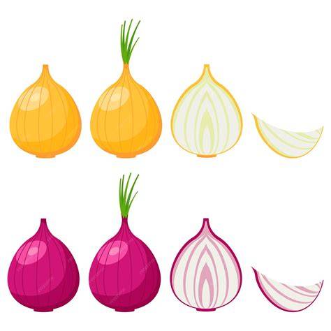 Illustration: Zwiebel, Honig und gesunde, wachsende Haare