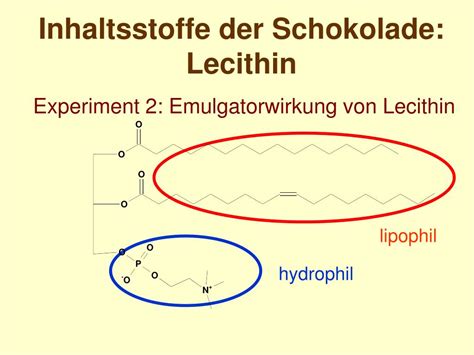 Illustration Emulgatorwirkung von Lecithin in einer Ganache