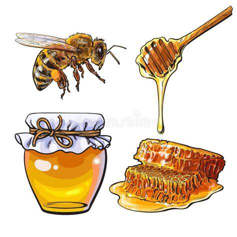 Illustration Honig und Bienenstock