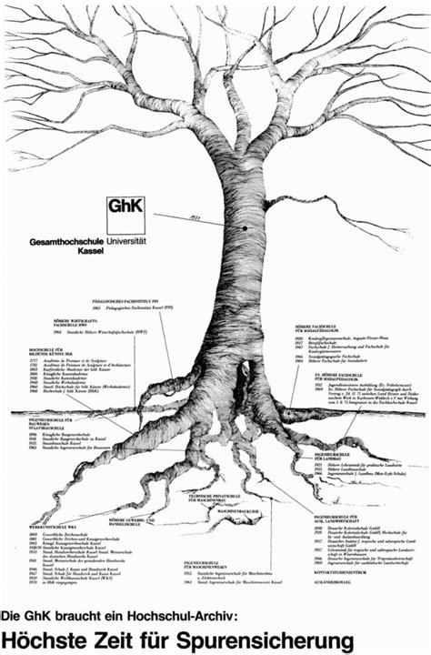 Illustration Jambulbaum - Herkunft und Biochemie