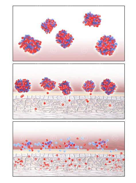 Illustration Natriumphosphate Wirkung