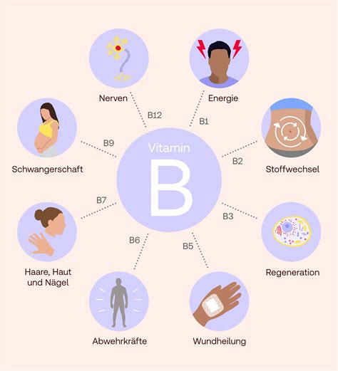 Illustration der Vitamine B2, B12 und Vitamin D