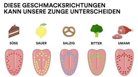 Illustration der fünf Geschmacksrichtungen: Joghurt, Voll-Nuss, Mousse, Crisp, Karamell